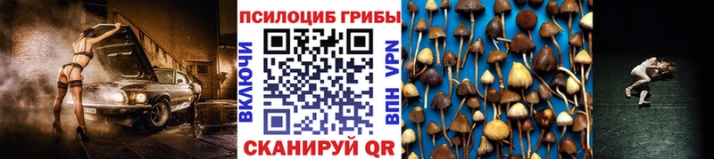 цены наркотик  Берёзовка  Галлюциногенные грибы Psilocybine cubensis 