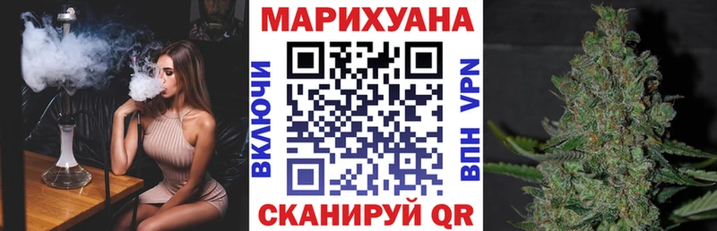 Канабис планчик  Берёзовка 